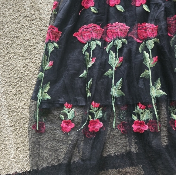 Roiii Off Shoulder Sheer Dress Womens Black & Roses 1950s Whimsgoth New - Picture 5 of 16